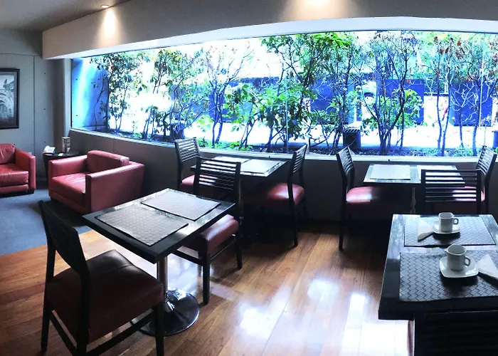 Aura For Living Hotel Città del Messico